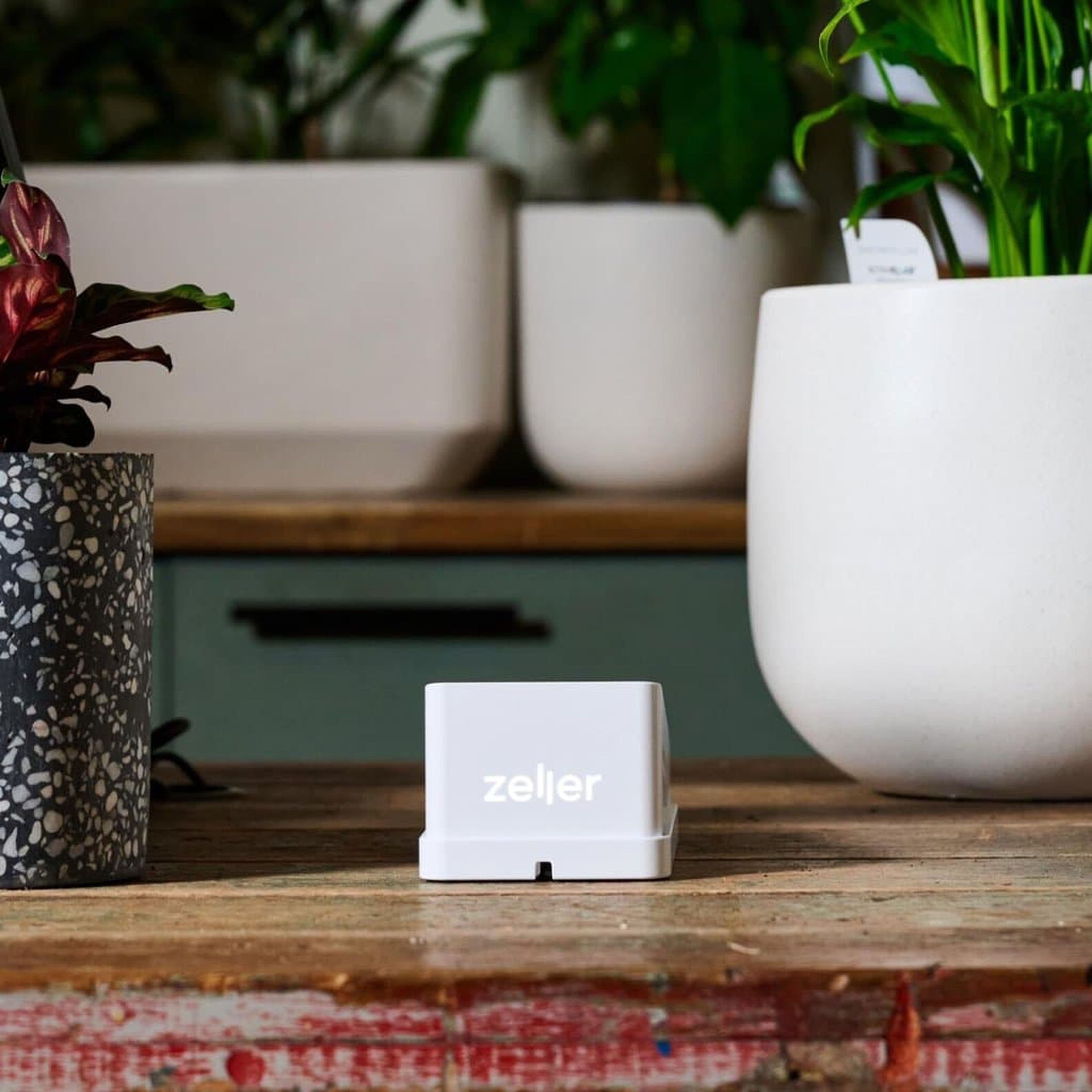 White EFTPOS machine on wooden countertop next to plants