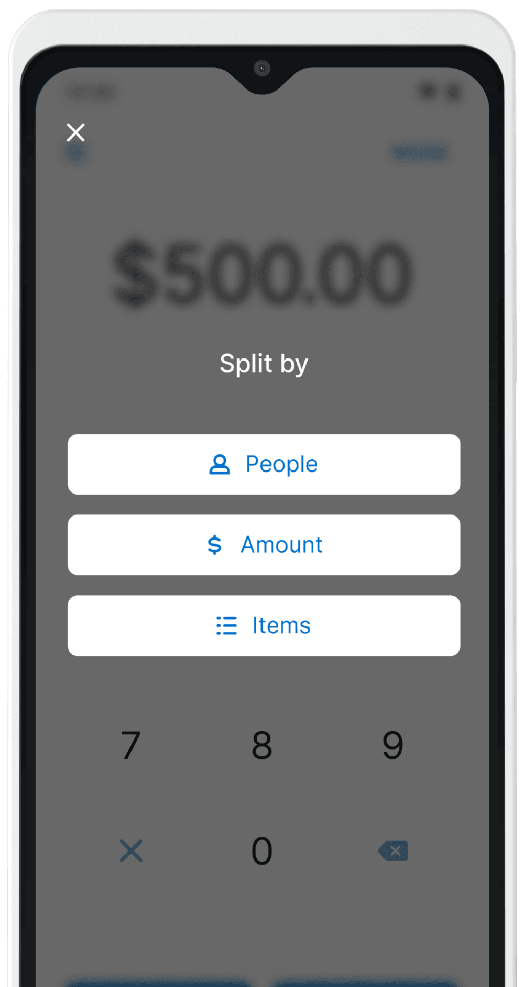 Terminal 2 - Split Payments