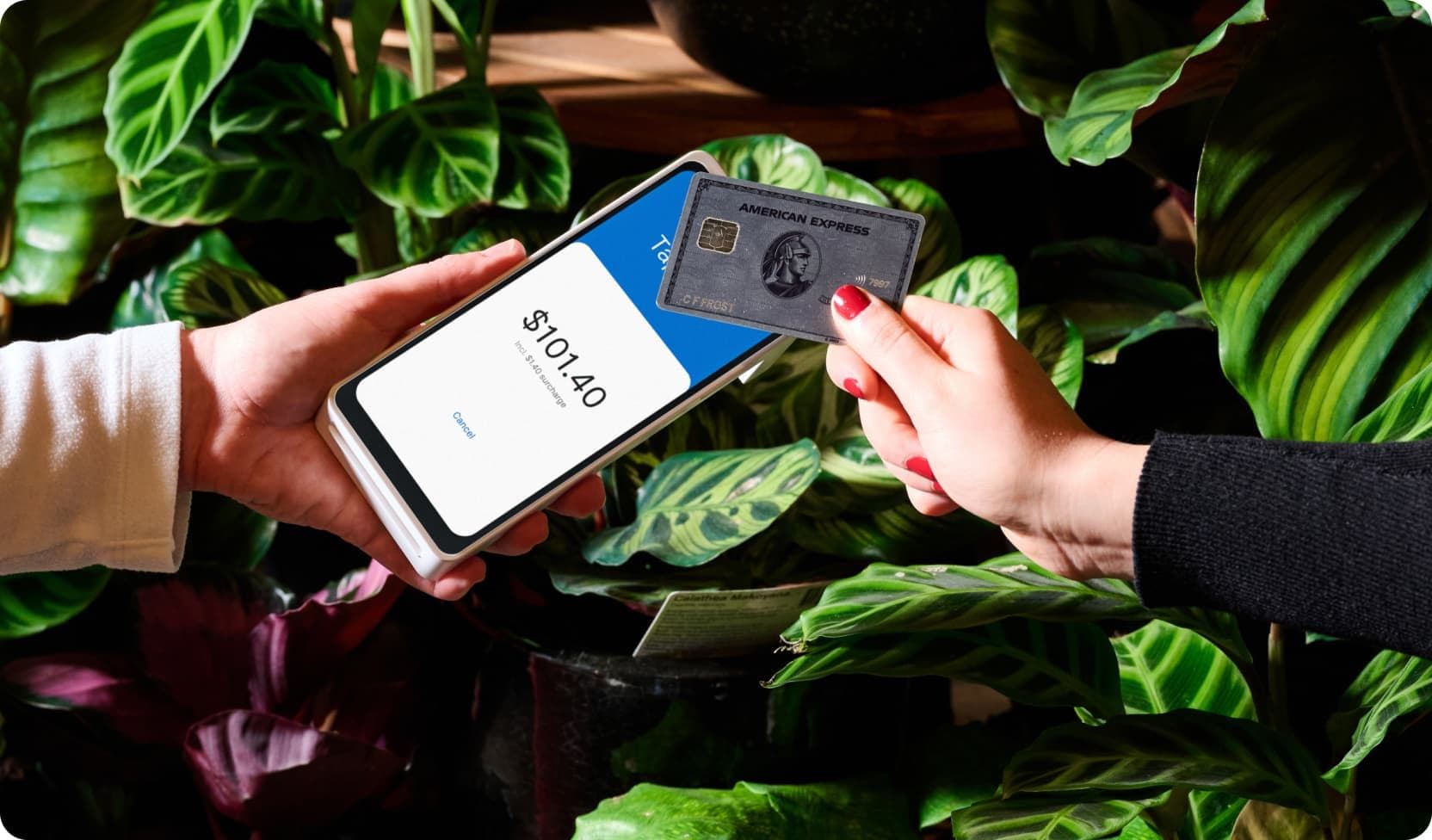 Zeller - Amex tapping on Terminal 2 in White, florist