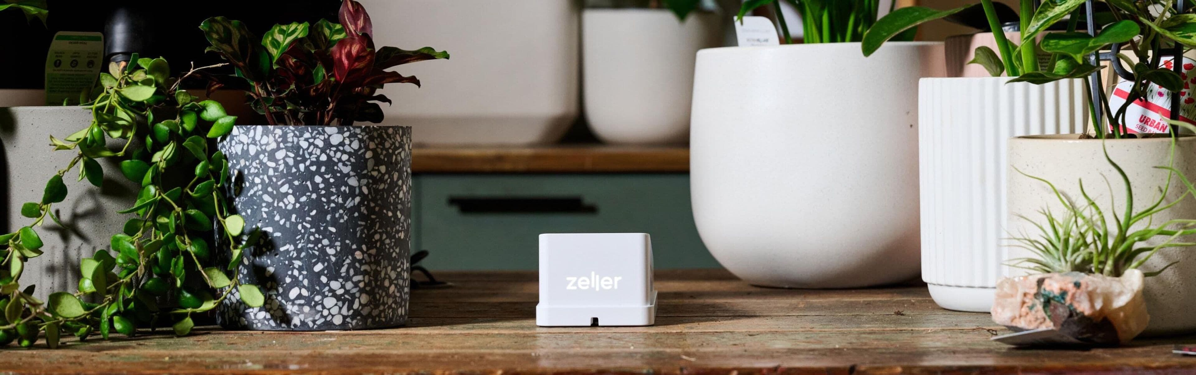 White EFTPOS machine on wooden countertop next to plants