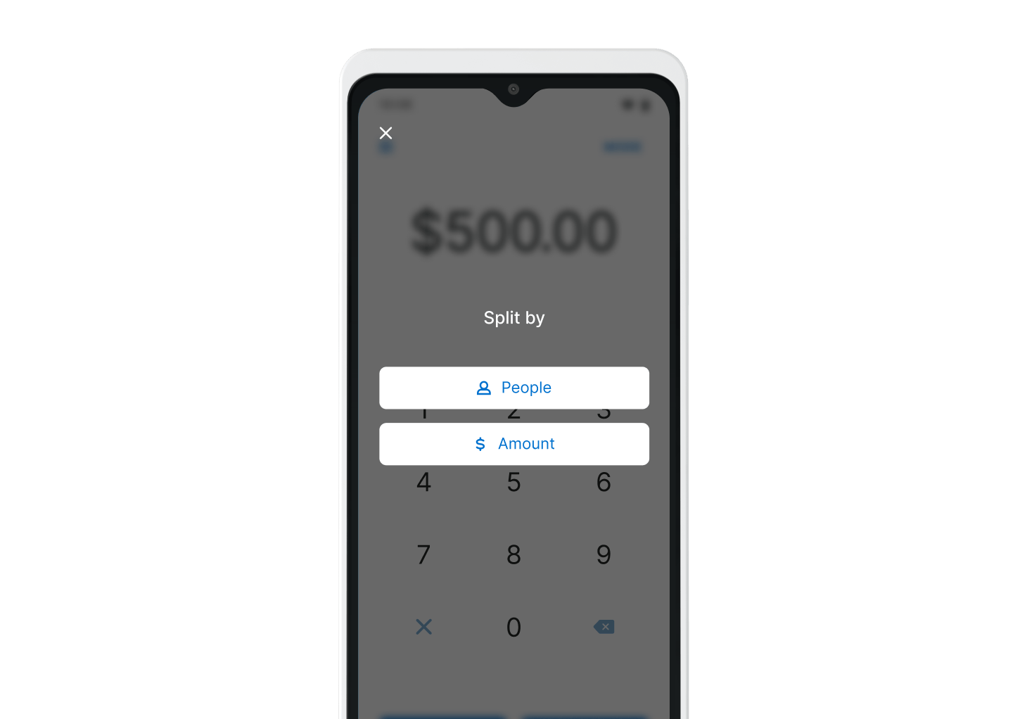 Terminal 2 - Split payment